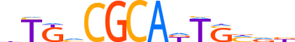 CMTA1.H14INVITRO.0.PSGI.A motif logo (CAMTA1 gene, CMTA1_HUMAN protein)