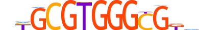 EGR1.H14INVITRO.0.PS.A motif logo (EGR1 gene, EGR1_HUMAN protein)