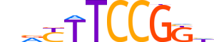 ELK4.H14INVITRO.0.PSM.A reverse-complement motif logo (ELK4 gene, ELK4_HUMAN protein)