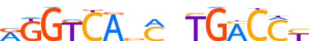 ESR1.H14INVITRO.0.P.B motif logo (ESR1 gene, ESR1_HUMAN protein)