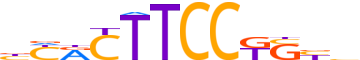 ETS1.H14INVITRO.1.P.B reverse-complement motif logo (ETS1 gene, ETS1_HUMAN protein)