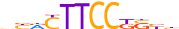 ETS2.H14INVITRO.1.P.B reverse-complement motif logo (ETS2 gene, ETS2_HUMAN protein)