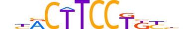 ETV1.H14INVITRO.1.PM.A reverse-complement motif logo (ETV1 gene, ETV1_HUMAN protein)