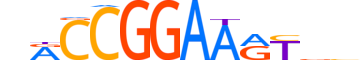 FLI1.H14INVITRO.0.PSM.A motif logo (FLI1 gene, FLI1_HUMAN protein)