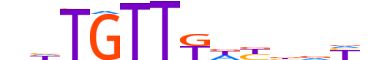 FOXP1.H14INVITRO.0.PS.A motif logo (FOXP1 gene, FOXP1_HUMAN protein)