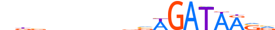 GATA2.H14INVITRO.1.P.B motif logo (GATA2 gene, GATA2_HUMAN protein)