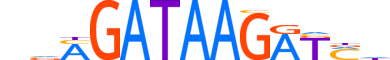 GATA3.H14INVITRO.1.SM.B motif logo (GATA3 gene, GATA3_HUMAN protein)