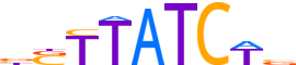 GATA4.H14INVITRO.0.PSM.A reverse-complement motif logo (GATA4 gene, GATA4_HUMAN protein)
