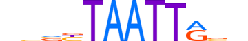 GBX2.H14INVITRO.0.SM.B motif logo (GBX2 gene, GBX2_HUMAN protein)