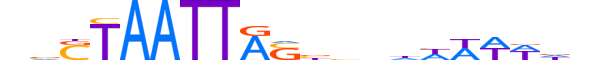 GBX2.H14INVITRO.1.S.B motif logo (GBX2 gene, GBX2_HUMAN protein)