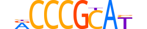 GCM2.H14INVITRO.0.SM.B motif logo (GCM2 gene, GCM2_HUMAN protein)