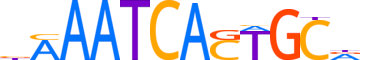 GFI1B.H14INVITRO.0.PSM.A reverse-complement motif logo (GFI1B gene, GFI1B_HUMAN protein)