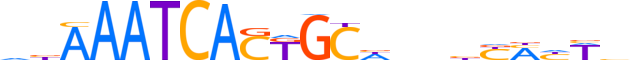 GFI1B.H14INVITRO.1.S.C reverse-complement motif logo (GFI1B gene, GFI1B_HUMAN protein)