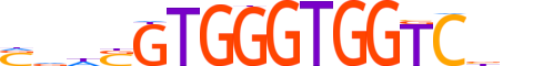 GLI2.H14INVITRO.0.PSM.A motif logo (GLI2 gene, GLI2_HUMAN protein)