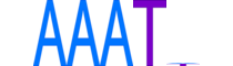 GLYR1.H14INVITRO.0.B.B motif logo (GLYR1 gene, GLYR1_HUMAN protein)