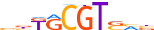 GMEB1.H14INVITRO.0.P.C motif logo (GMEB1 gene, GMEB1_HUMAN protein)