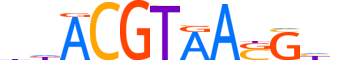 GMEB2.H14INVITRO.2.SM.B motif logo (GMEB2 gene, GMEB2_HUMAN protein)