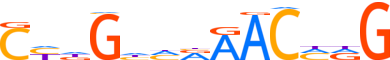GRHL2.H14INVITRO.0.P.D reverse-complement motif logo (GRHL2 gene, GRHL2_HUMAN protein)
