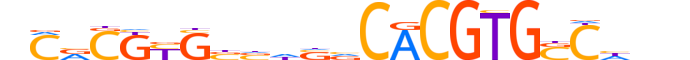 HES1.H14INVITRO.0.S.C reverse-complement motif logo (HES1 gene, HES1_HUMAN protein)