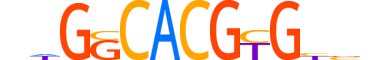 HES1.H14INVITRO.1.S.C motif logo (HES1 gene, HES1_HUMAN protein)