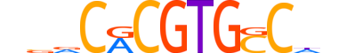 HES1.H14INVITRO.1.S.C reverse-complement motif logo (HES1 gene, HES1_HUMAN protein)