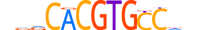 HES2.H14INVITRO.0.S.C reverse-complement motif logo (HES2 gene, HES2_HUMAN protein)