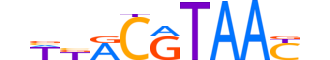 HLF.H14INVITRO.1.SM.B reverse-complement motif logo (HLF gene, HLF_HUMAN protein)