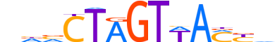 HMBX1.H14INVITRO.0.PSM.A motif logo (HMBOX1 gene, HMBX1_HUMAN protein)