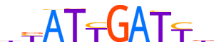 HNF6.H14INVITRO.0.PM.A motif logo (ONECUT1 gene, HNF6_HUMAN protein)