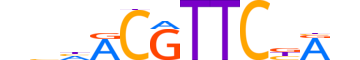 HSF5.H14INVITRO.1.S.C motif logo (HSF5 gene, HSF5_HUMAN protein)