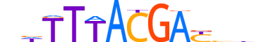 HXA11.H14INVITRO.1.SM.B motif logo (HOXA11 gene, HXA11_HUMAN protein)