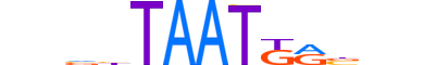 HXA7.H14INVITRO.0.SM.B motif logo (HOXA7 gene, HXA7_HUMAN protein)