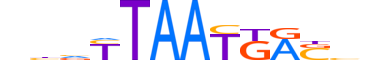 HXB6.H14INVITRO.0.SM.B motif logo (HOXB6 gene, HXB6_HUMAN protein)
