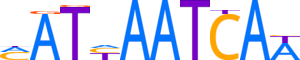 HXB7.H14INVITRO.0.P.C reverse-complement motif logo (HOXB7 gene, HXB7_HUMAN protein)