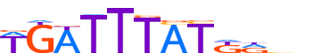HXC10.H14INVITRO.0.P.B motif logo (HOXC10 gene, HXC10_HUMAN protein)