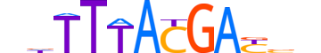 HXC10.H14INVITRO.2.SM.B motif logo (HOXC10 gene, HXC10_HUMAN protein)
