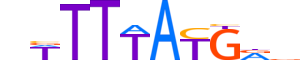HXD11.H14INVITRO.0.PS.A motif logo (HOXD11 gene, HXD11_HUMAN protein)
