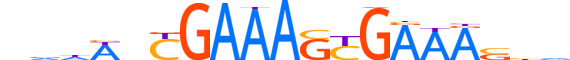 IRF2.H14INVITRO.0.PSM.A motif logo (IRF2 gene, IRF2_HUMAN protein)