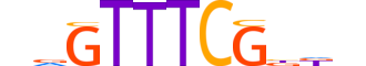 IRF5.H14INVITRO.1.S.B reverse-complement motif logo (IRF5 gene, IRF5_HUMAN protein)