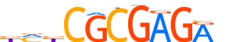 KAISO.H14INVITRO.0.P.D motif logo (ZBTB33 gene, KAISO_HUMAN protein)