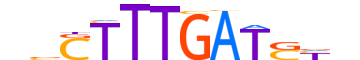 LEF1.H14INVITRO.0.PSM.A motif logo (LEF1 gene, LEF1_HUMAN protein)