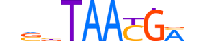 LHX1.H14INVITRO.1.M.C motif logo (LHX1 gene, LHX1_HUMAN protein)