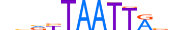 LHX5.H14INVITRO.0.PSM.A motif logo (LHX5 gene, LHX5_HUMAN protein)
