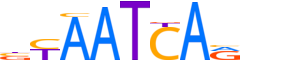 LHX6.H14INVITRO.0.P.B motif logo (LHX6 gene, LHX6_HUMAN protein)