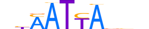 LHX6.H14INVITRO.1.S.B motif logo (LHX6 gene, LHX6_HUMAN protein)