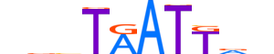 LHX6.H14INVITRO.1.S.B reverse-complement motif logo (LHX6 gene, LHX6_HUMAN protein)