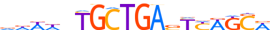 MAFG.H14INVITRO.0.PSM.A motif logo (MAFG gene, MAFG_HUMAN protein)