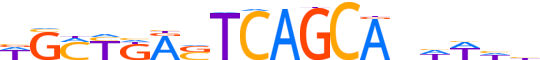 MAFK.H14INVITRO.0.PS.A reverse-complement motif logo (MAFK gene, MAFK_HUMAN protein)