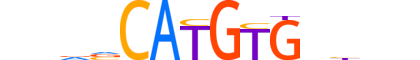 MAX.H14INVITRO.1.M.C motif logo (MAX gene, MAX_HUMAN protein)