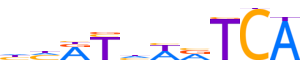 MEIS2.H14INVITRO.0.P.C reverse-complement motif logo (MEIS2 gene, MEIS2_HUMAN protein)